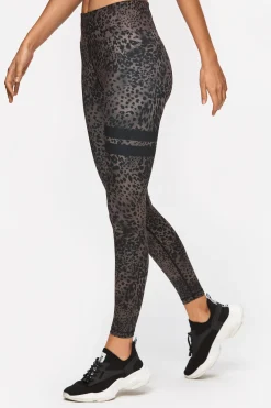 Leo Tights